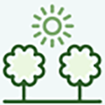 Forestry Pest Control