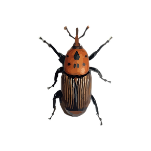 insect