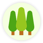 product forestry