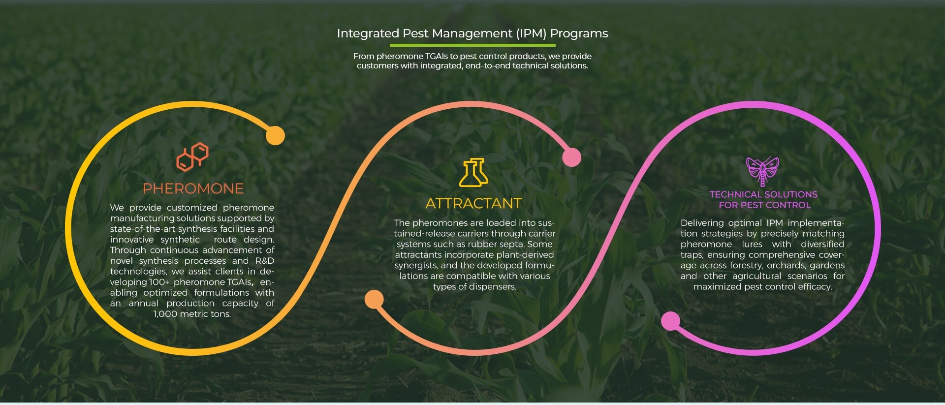 programs