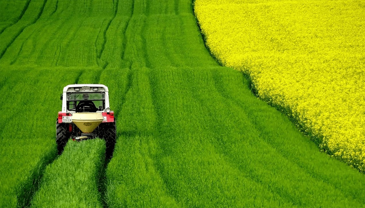 solution crops