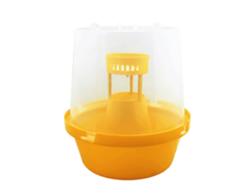 Fruit Fly Trap