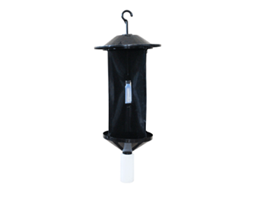 Longhorn Beetle Trap