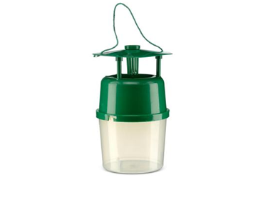 Moth Trap