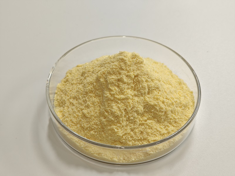 Setipiprant